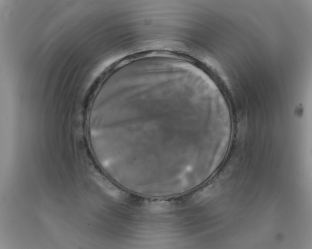 X0000091351019200709071234