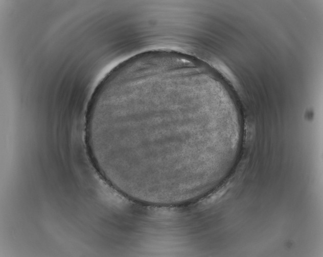 X0000091351020200709071234