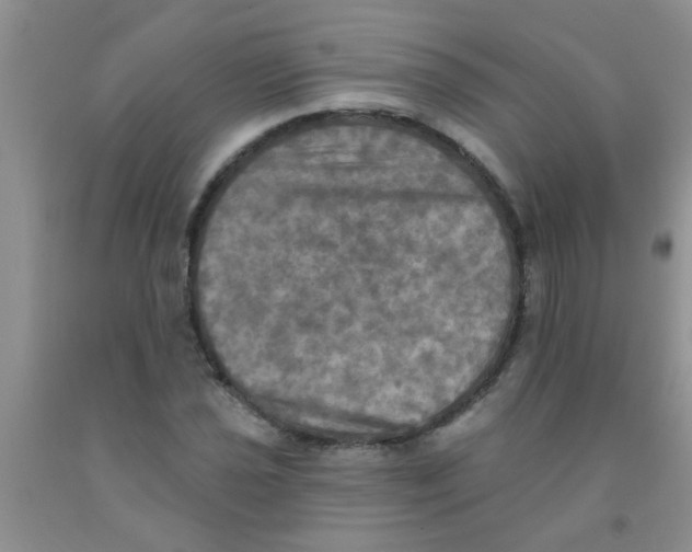 X0000091351021200709071234
