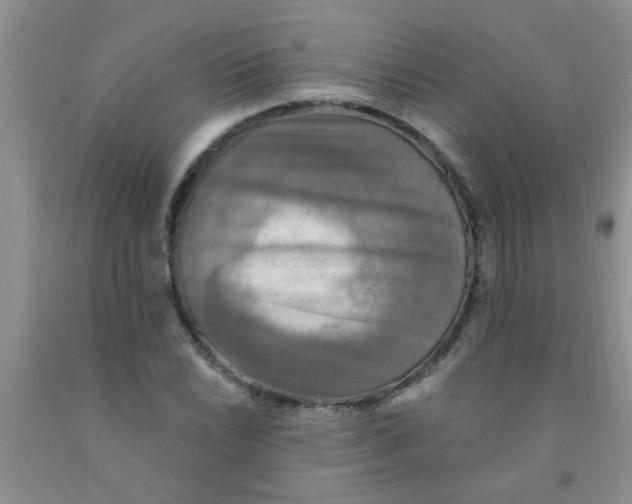 X0000091351022200709071234