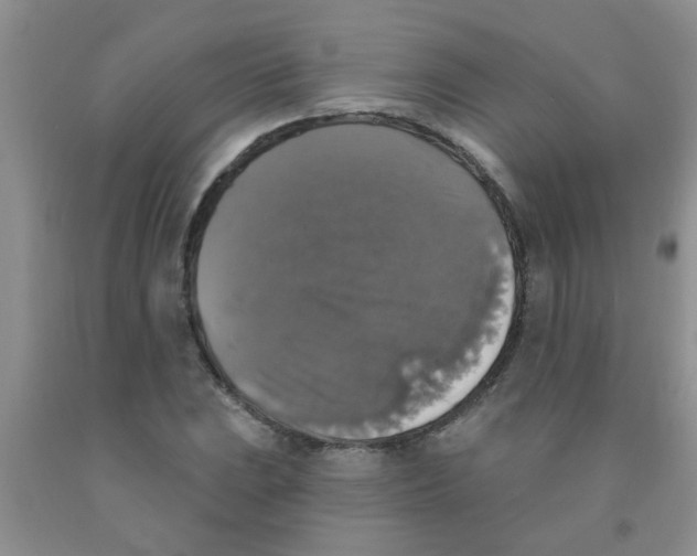X0000091351023200709071234