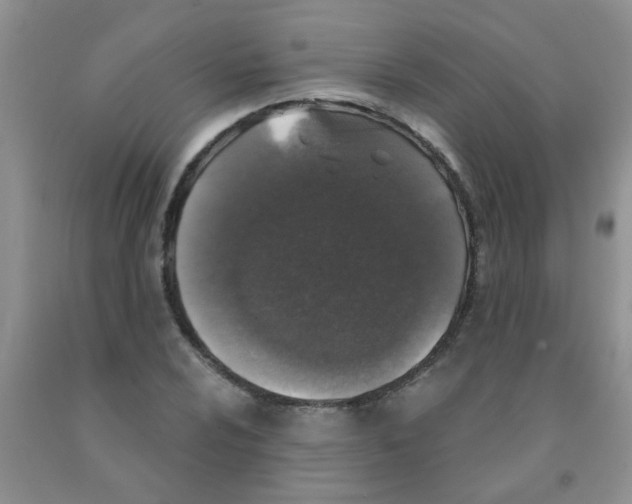 X0000091351024200709071234