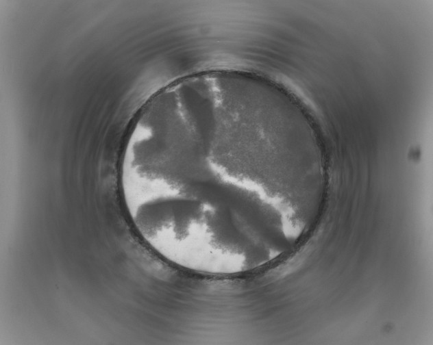X0000091351025200709071234