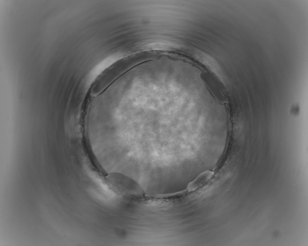 X0000091351026200709071234