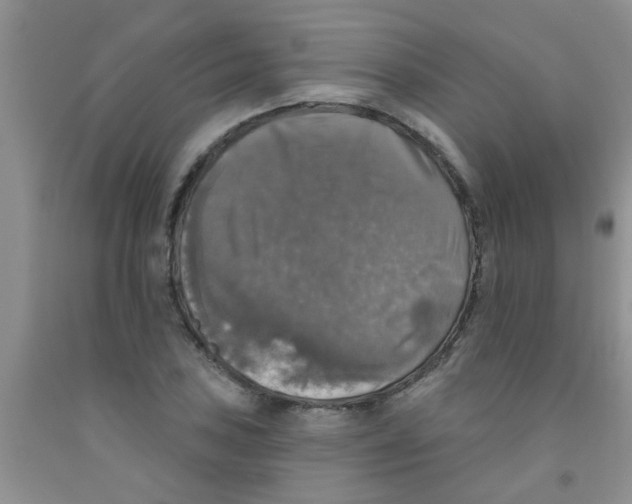 X0000091351027200709071234