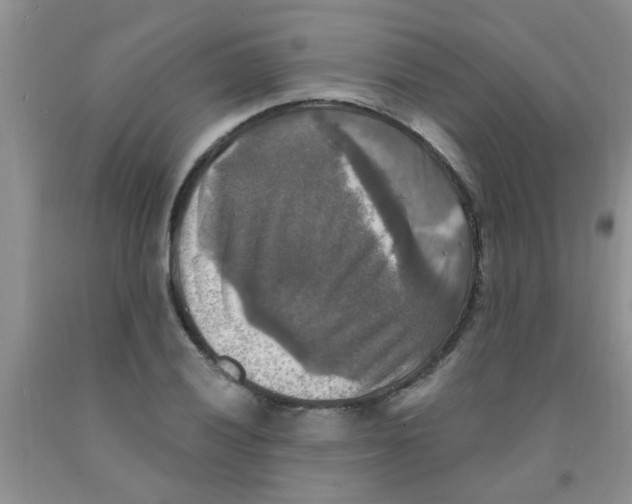 X0000091351028200709071234