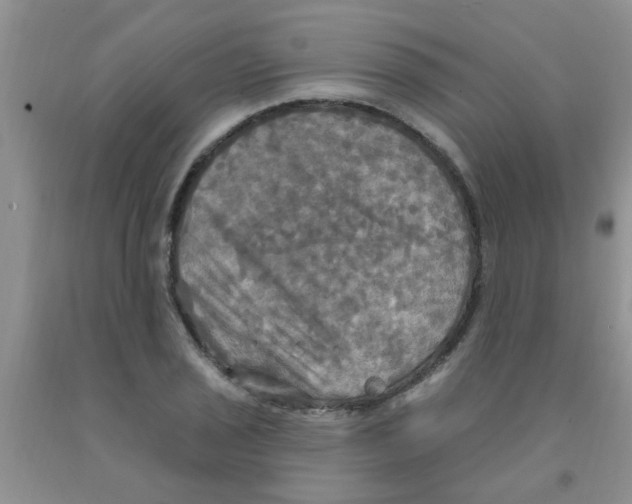 X0000091351029200709071234