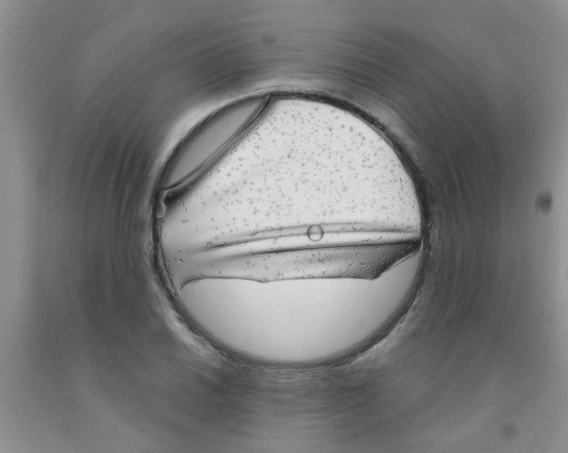 X0000091351030200709071234