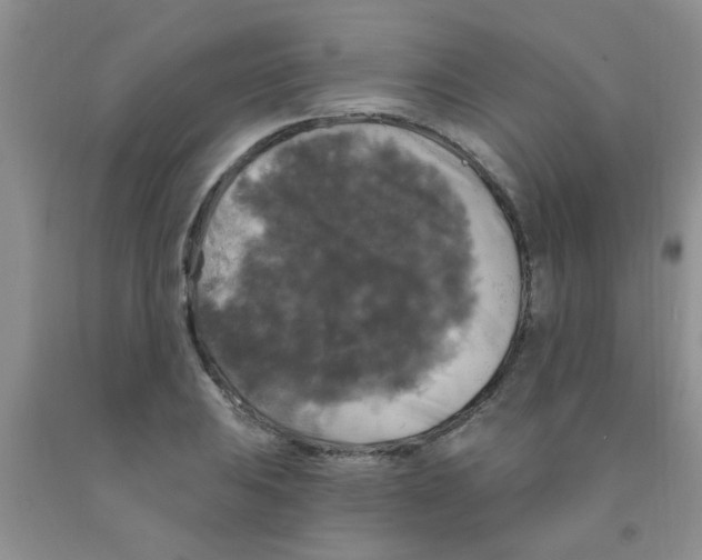 X0000091351031200709071234