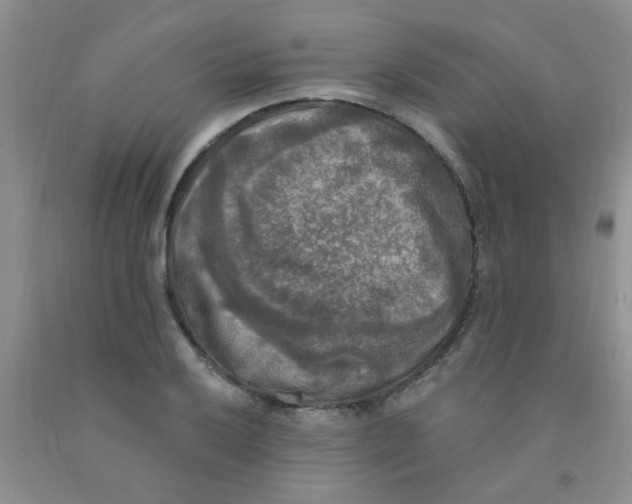 X0000091351032200709071234