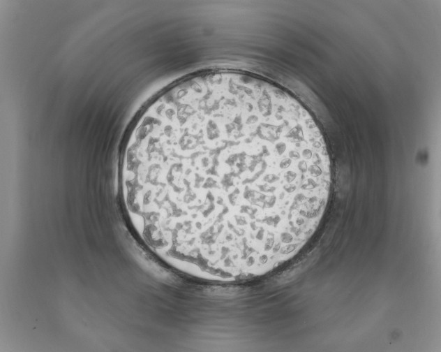 X0000091351036200709071234