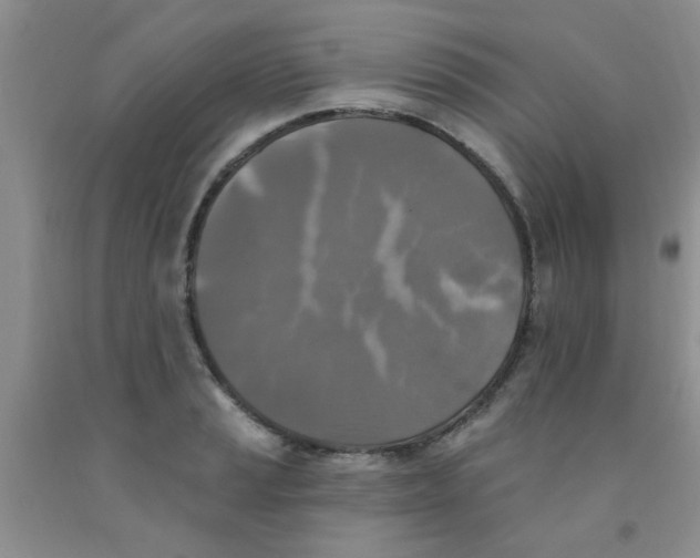 X0000091351037200709071234