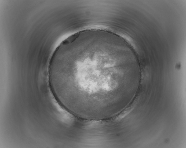 X0000091351038200709071234