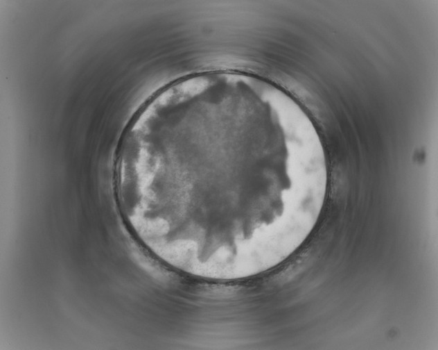 X0000091351039200709071234