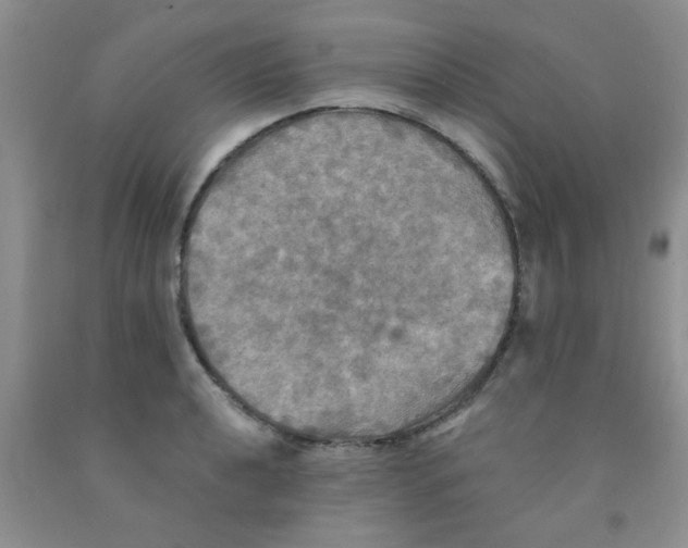 X0000091351040200709071234