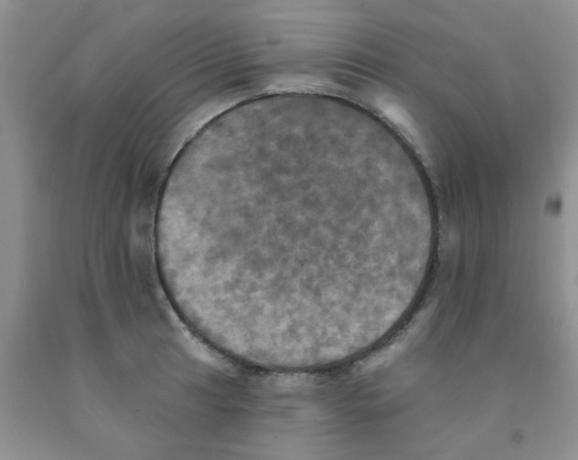 X0000091351041200709071234