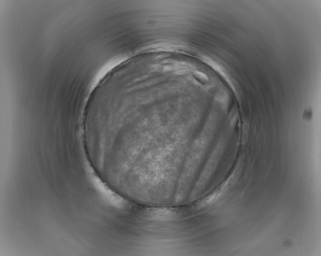 X0000091351042200709071234
