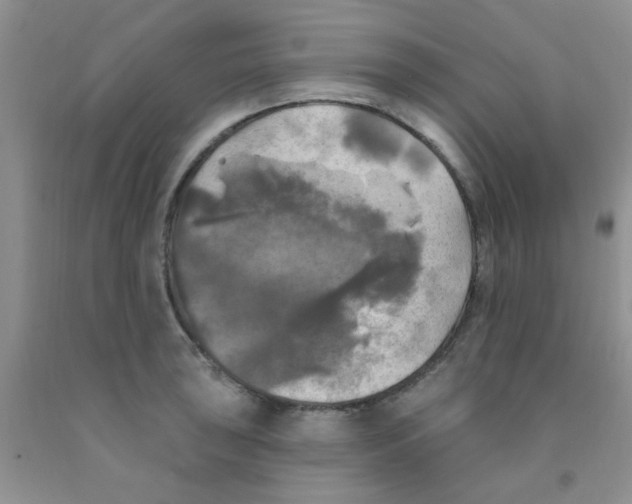 X0000091351043200709071234