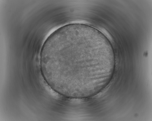 X0000091351044200709071234