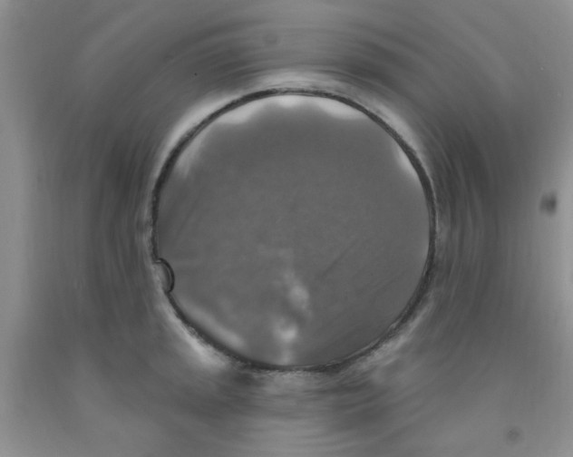 X0000091351045200709071234