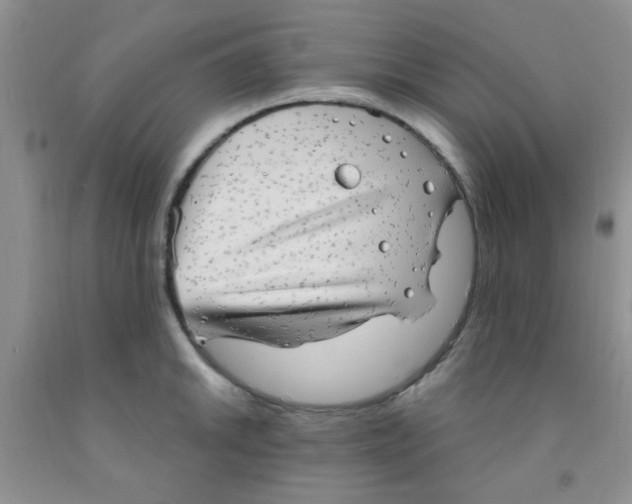 X0000091351046200709071234