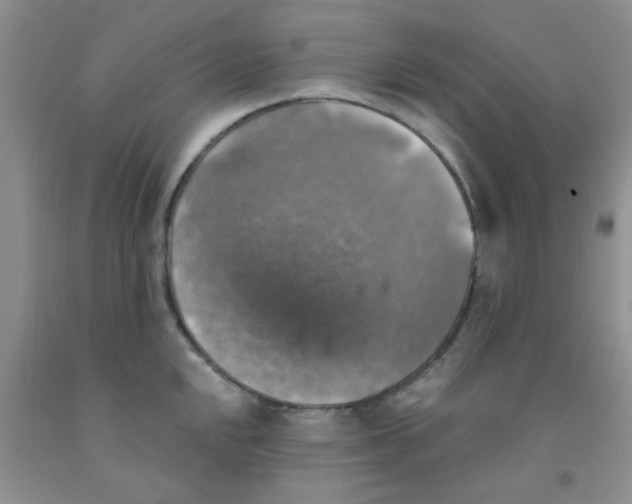 X0000091351048200709071234