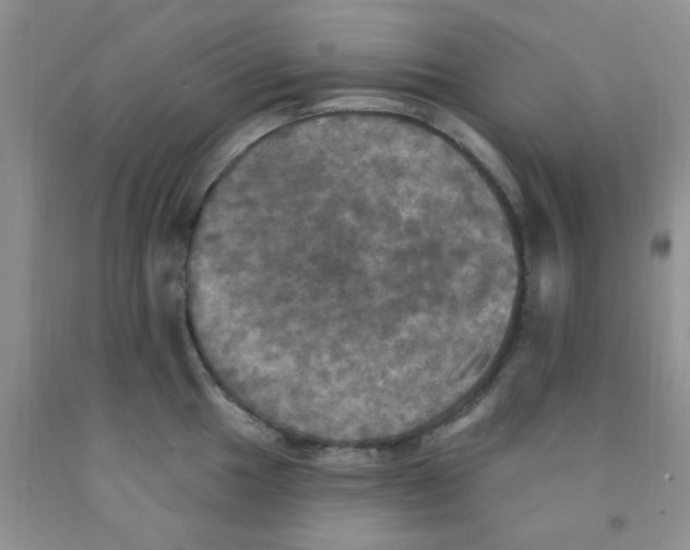 X0000091351049200709071234