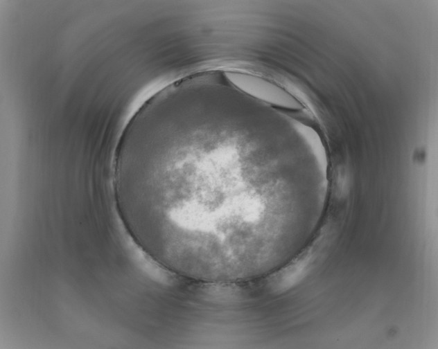 X0000091351050200709071235