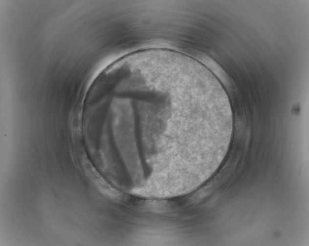 X0000091351052200709071235