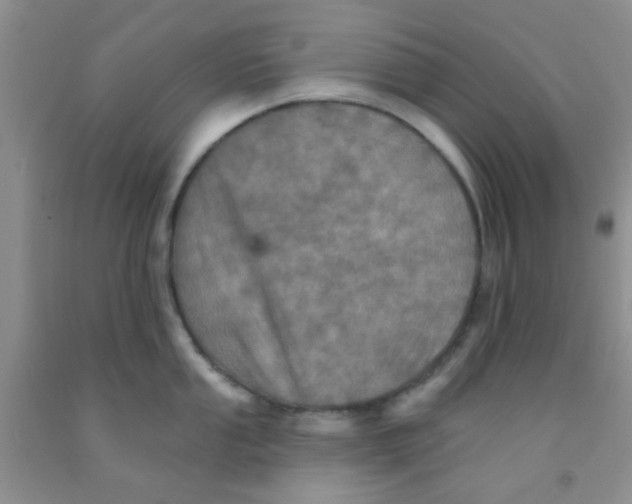 X0000091351053200709071235