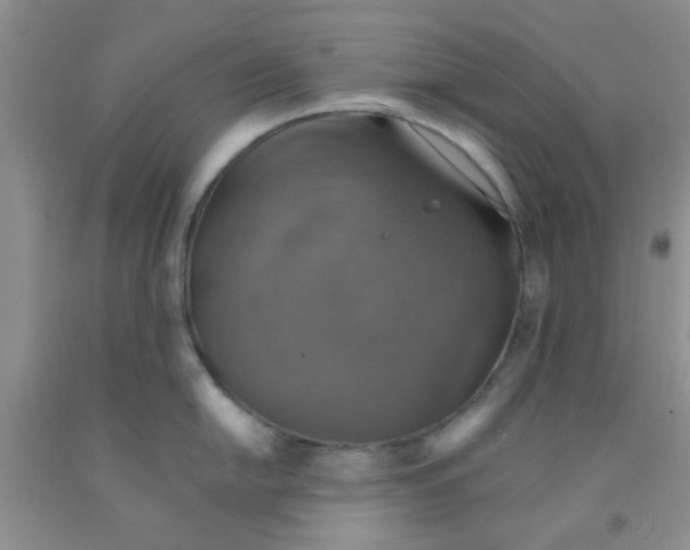 X0000091351054200709071235