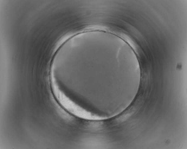 X0000091351055200709071235