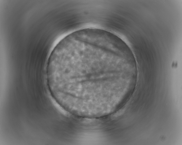 X0000091351056200709071235