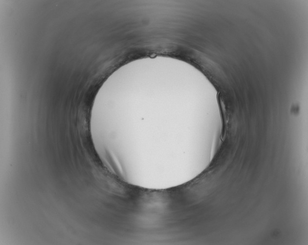 X0000091351058200709071234