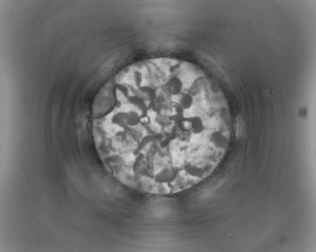 X0000091351059200709071234