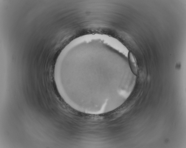 X0000091351060200709071234