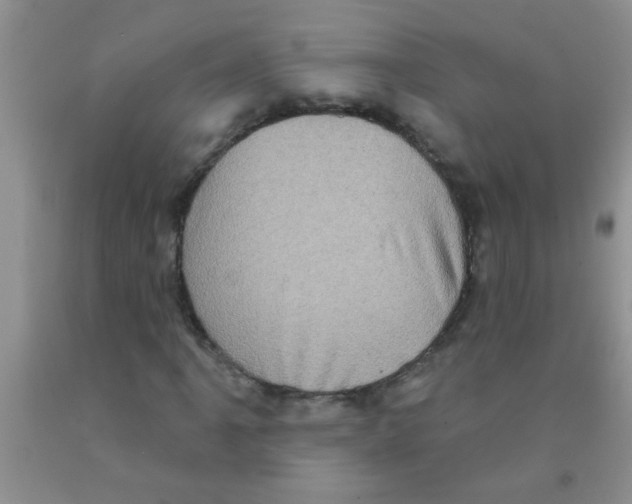 X0000091351061200709071234