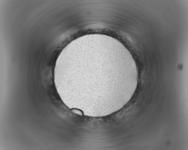 X0000091351062200709071234
