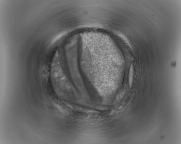 X0000091351064200709071234