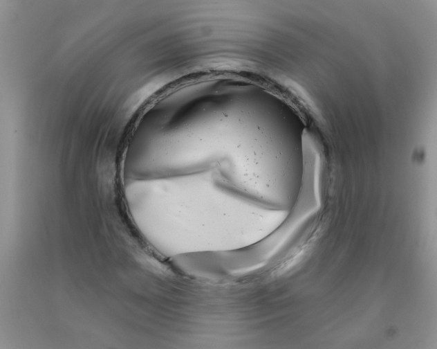X0000091351065200709071234