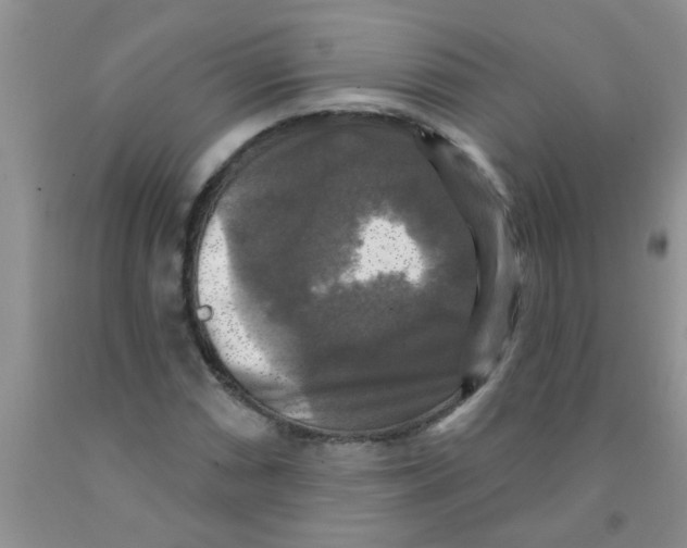 X0000091351066200709071234