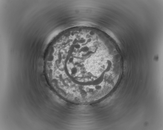 X0000091351067200709071234