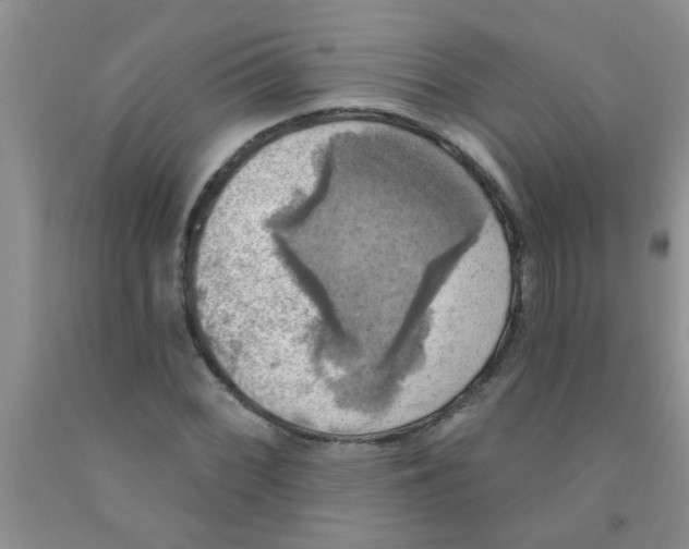 X0000091351068200709071234