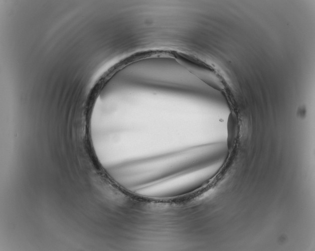 X0000091351069200709071234
