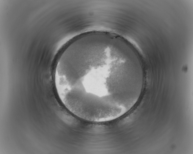 X0000091351070200709071234