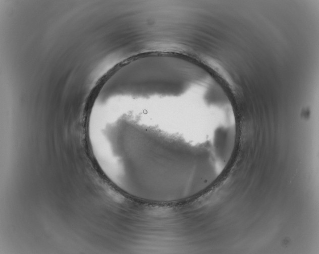 X0000091351071200709071234