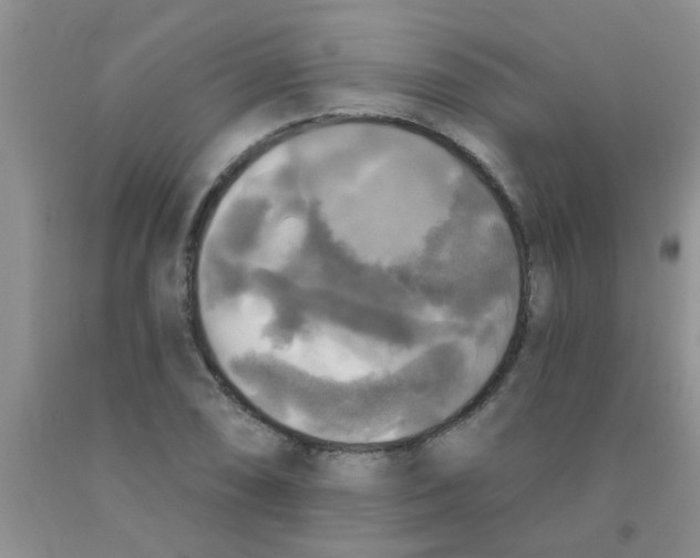 X0000091351074200709071234