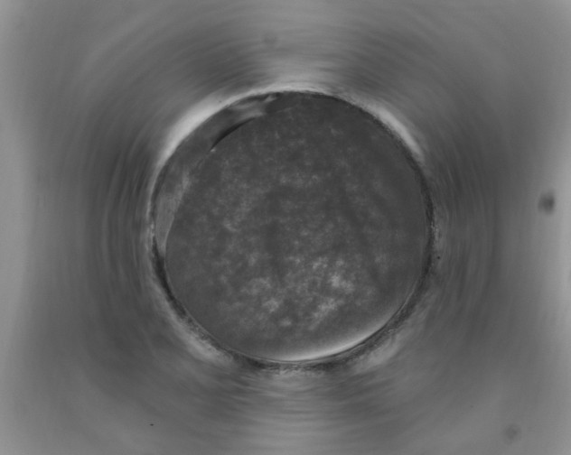 X0000091351077200709071234
