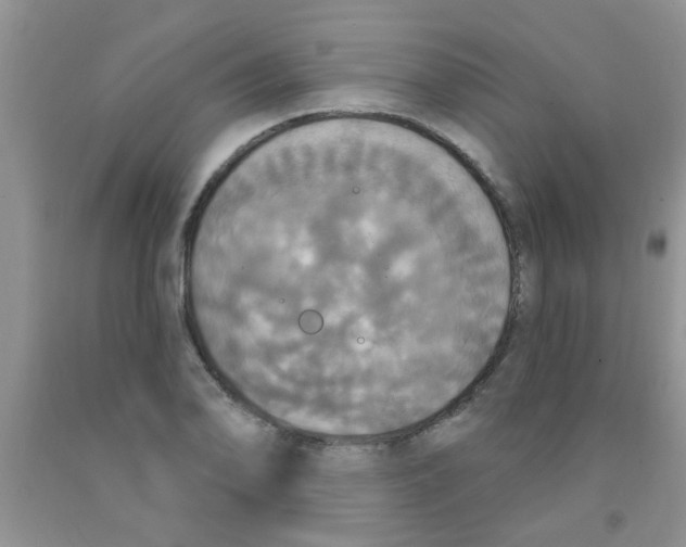 X0000091351078200709071234