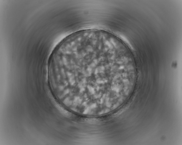 X0000091351079200709071234